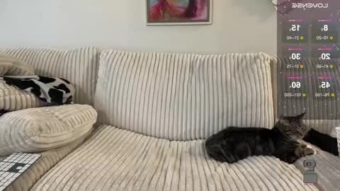 Snapshot of noturbabymoms chatting on December 24, 2:54 pm NotUrBabyMoms online show from December 24, 2:54 pm