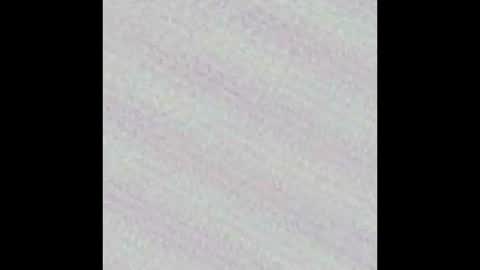 Novinhoo online show from March 9, 2:26 am