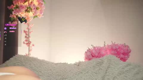 Dina online show from November 7, 1:38 am