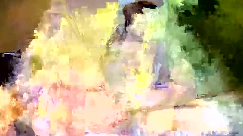 disonasty33 online show from October 5, 10:46 am