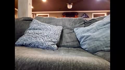 Snapshot of nudistguy194549 chatting on January 13, 12:16 am Nudistguy online show from January 13, 12:16 am