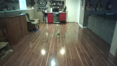 Snapshot of nudistguy194549 chatting on March 15, 10:05 pm Nudistguy online show from March 15, 10:05 pm