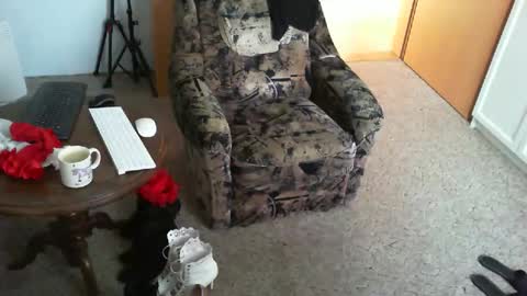 Strumpfhose online show from April 16, 7:31 am