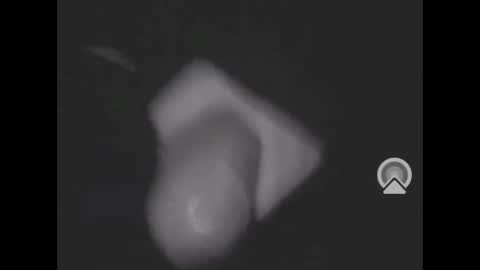 nympham online show from April 8, 5:07 am