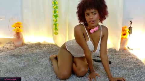 Nym online show from April 17, 1:52 am