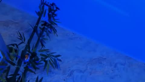 Snapshot of nyssawoodd chatting on October 2, 2:46 pm nyssawoodd online show from October 2, 2:46 pm