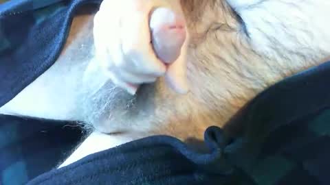 Snapshot of o269x2 chatting on February 13, 6:38 pm o269x2 online show from February 13, 6:38 pm