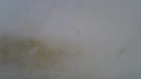 Snapshot of oceanwavves chatting on May 1, 6:23 pm Paloma online show from May 1, 6:23 pm