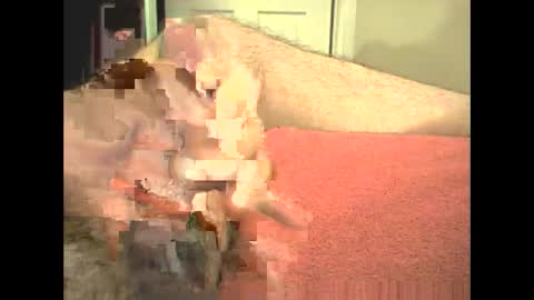 Snapshot of odinsslave chatting on February 28, 3:46 pm odinswarrior online show from February 28, 3:46 pm