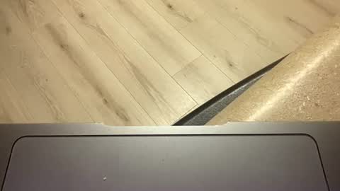 ofthatguy online show from October 24, 2:30 am