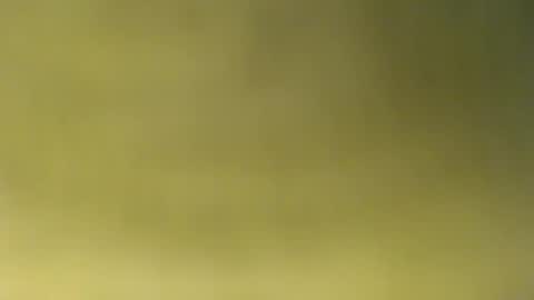 Snapshot of oliver_laid_2023 chatting on November 30, 8:51 am oliver_laid_2023 online show from November 30, 8:51 am
