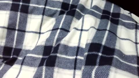 Snapshot of onanii21 chatting on January 14, 1:58 am onanii21 online show from January 14, 1:58 am