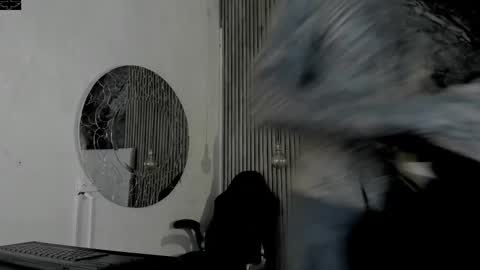     ... online show from February 15, 3:47 am