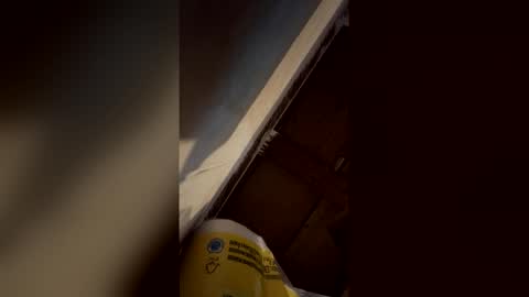 Jolene online show from April 16, 5:14 pm