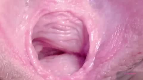 orchidekitty online show from March 6, 9:11 pm