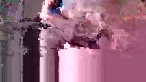 oretrail online show from March 10, 10:48 pm