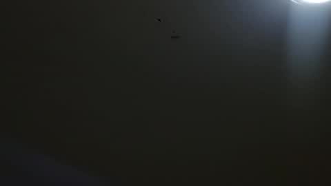 Snapshot of oriana_111 chatting on May 4, 11:28 am oriana_111 online show from May 4, 11:28 am