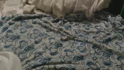 originalcali95 online show from February 2, 3:27 am