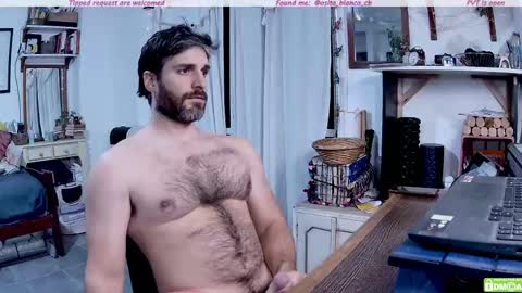 Snapshot of osito_blanco chatting on May 12, 12:08 am Osito Blanco online show from May 12, 12:08 am