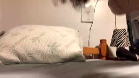 ozzy727 online show from February 23, 2:53 am