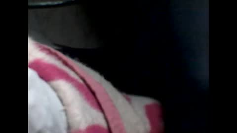 p_ro_rok online show from February 7, 2:04 am