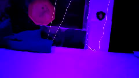 pablouyu online show from December 22, 5:56 am