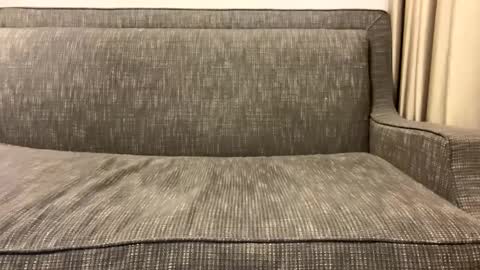 Snapshot of panther_style chatting on February 11, 2:57 am Oleg online show from February 11, 2:57 am