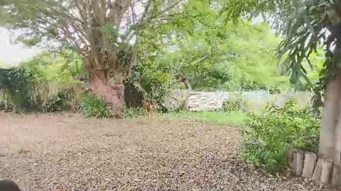 Snapshot of paoguerrax354 chatting on July 21, 3:14 pm paoguerrax354 online show from July 21, 3:14 pm
