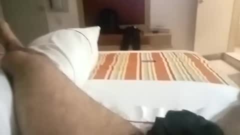 papitote32cm online show from April 21, 11:51 pm