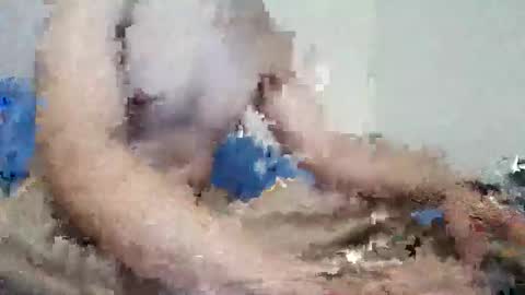 Snapshot of parejitafiel2309 chatting on November 9, 8:18 pm parejitafiel2309 online show from November 9, 8:18 pm