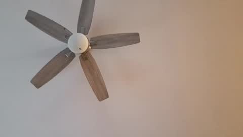 Snapshot of patrick247288 chatting on January 12, 9:40 pm patrick247288 online show from January 12, 9:40 pm