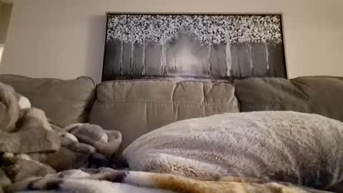 Snapshot of patrick247288 chatting on February 12, 12:22 pm patrick247288 online show from February 12, 12:22 pm