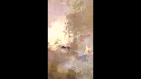 patrickalan2 online show from December 14, 2:50 am