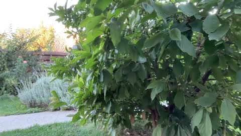 Andreea online show from September 16, 4:35 am