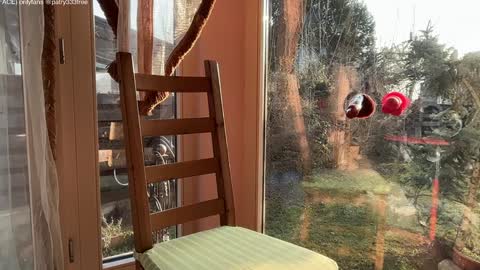 Andreea online show from March 16, 5:44 am