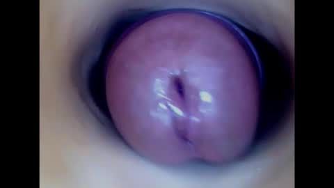 Paula 18 Aninhos online show from February 5, 10:47 pm