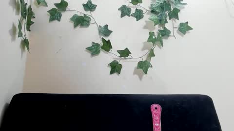 Paulinches online show from February 9, 8:24 pm