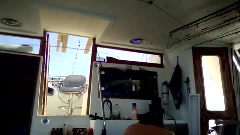 Pavone splash online show from January 10, 3:58 pm