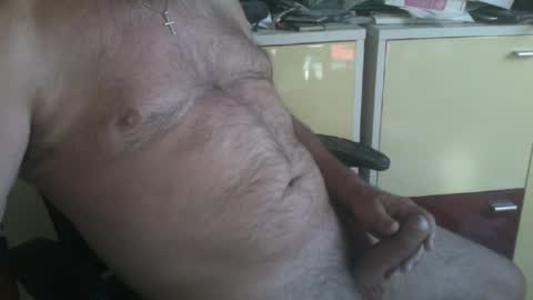 Snapshot of pegaso1000 chatting on August 3, 7:40 am pegaso1000 online show from August 3, 7:40 am
