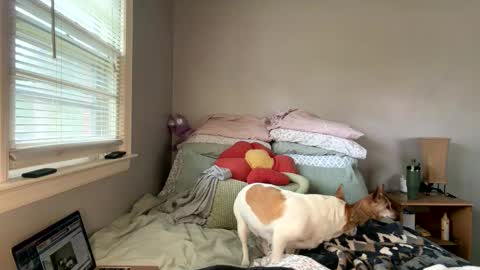 Snapshot of pegggggysue69 chatting on March 20, 7:30 pm pegggggysue69 online show from March 20, 7:30 pm