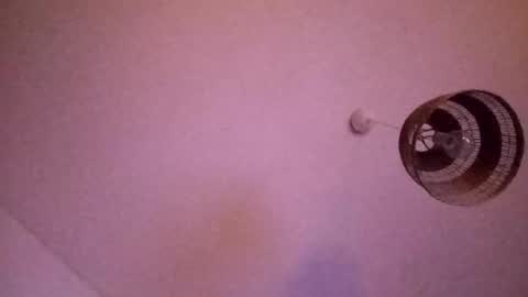 penesvoladores92 online show from February 28, 1:39 am