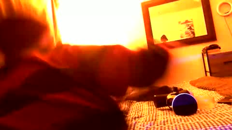 Snapshot of pennyfrance69 chatting on February 23, 10:28 am Penny France online show from February 23, 10:28 am