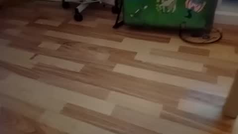 Snapshot of pepe_hard chatting on March 2, 6:58 am pepe_hard online show from March 2, 6:58 am