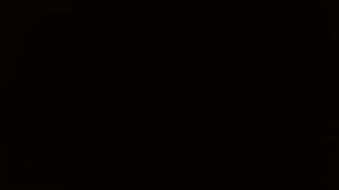 Snapshot of pepitt45 chatting on October 21, 1:28 am Megan online show from October 21, 1:28 am