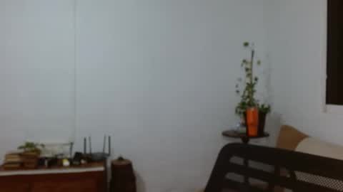 Snapshot of pepitt45 chatting on March 3, 12:06 am Megan online show from March 3, 12:06 am