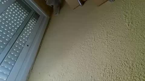 Snapshot of perales_12345 chatting on April 19, 10:25 am perales_12345 online show from April 19, 10:25 am