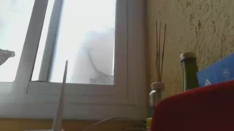 Snapshot of perales_12345 chatting on June 14, 3:25 pm perales_12345 online show from June 14, 3:25 pm