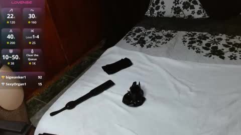 Snapshot of persefone_fire chatting on February 2, 9:52 am persefone_fire online show from February 2, 9:52 am