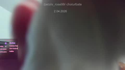 Snapshot of petals_rose99 chatting on April 1, 9:56 pm Rose online show from April 1, 9:56 pm