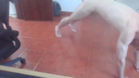 Snapshot of peter_coat chatting on July 1, 12:40 pm peter_coat online show from July 1, 12:40 pm